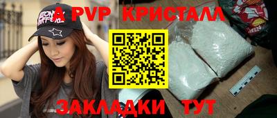 jwh Кингисепп