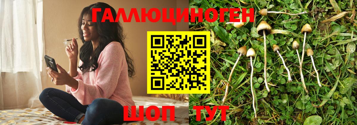 Галлюциногенные грибы MAGIC MUSHROOMS Красноармейск