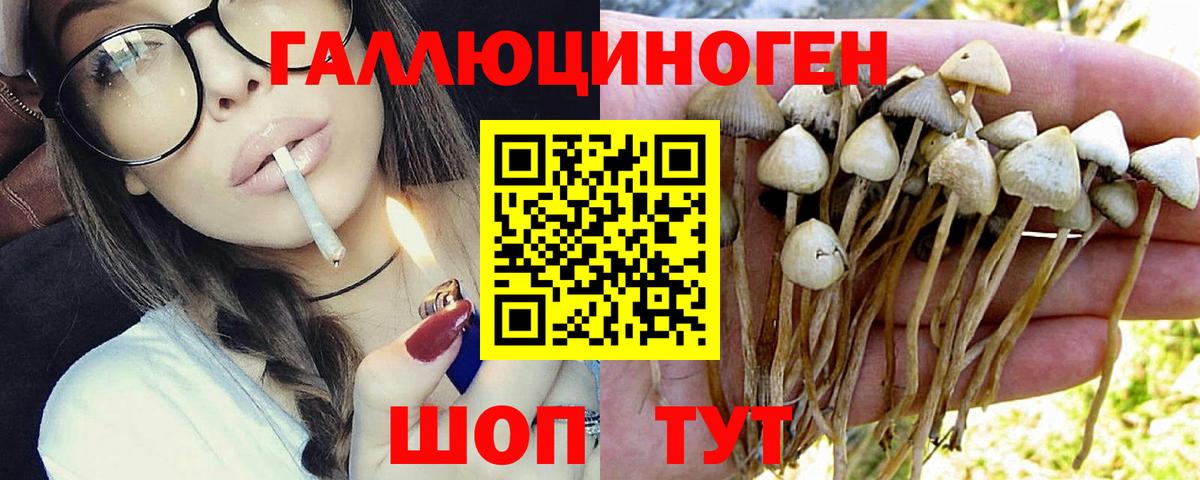 Красноармейск  Псилоцибиновые грибы ЛСД  Псилоцибиновые грибы MAGIC MUSHROOMS  Вход с VPN 